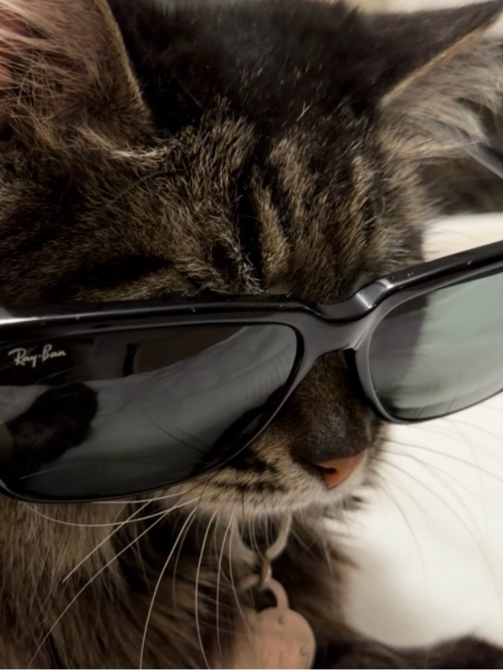 Authentic Ray-Ban Black Traditionals Sunglasses